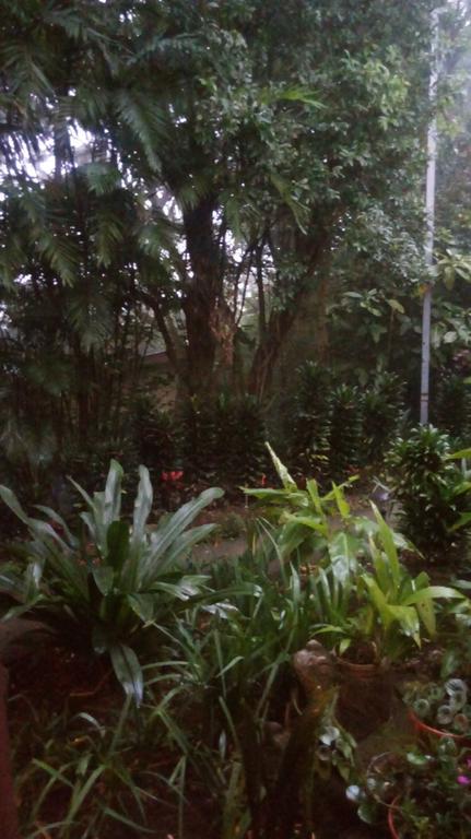 Hotel Los Jardines De Monteverde Extérieur photo